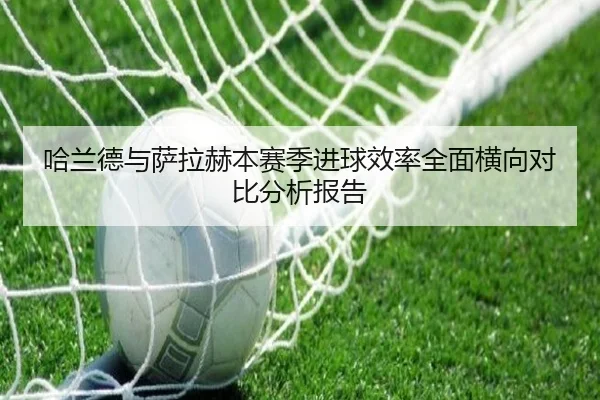 哈兰德与萨拉赫本赛季进球效率全面横向对比分析报告 | KAIYUN